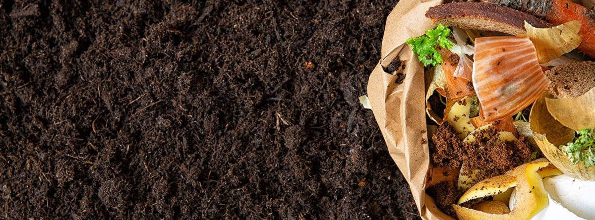 Basta de tirar comida! El desperdicio alimentario es una bomba silenciosa contra el planeta y la humanidad