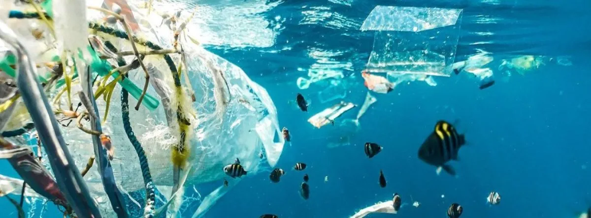 ¡Una marea humana se levanta para limpiar el planeta! El Día Mundial de la Limpieza ya es oficial!