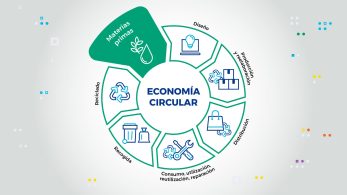 La Revolución Silenciosa que Puede Salvar al Planeta! ¿Qué es la Economía Circular y por qué está cambiando todo?