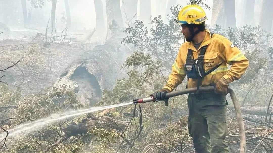 Provincias patagónicas firman acuerdo para cuidar bosques