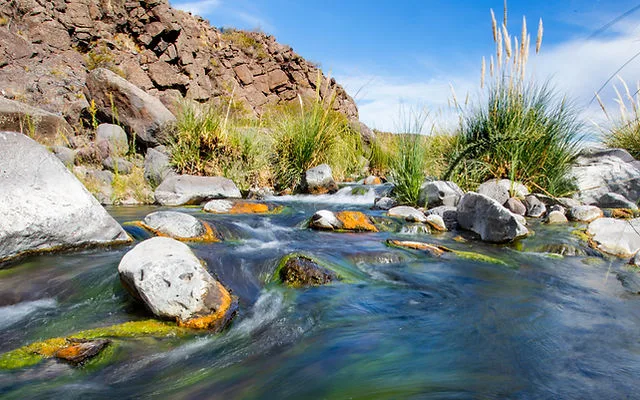 La Fundación Somuncura despierta al mundo! Ciencia, educación y conservación desde la PatagUna fundación que hace historia