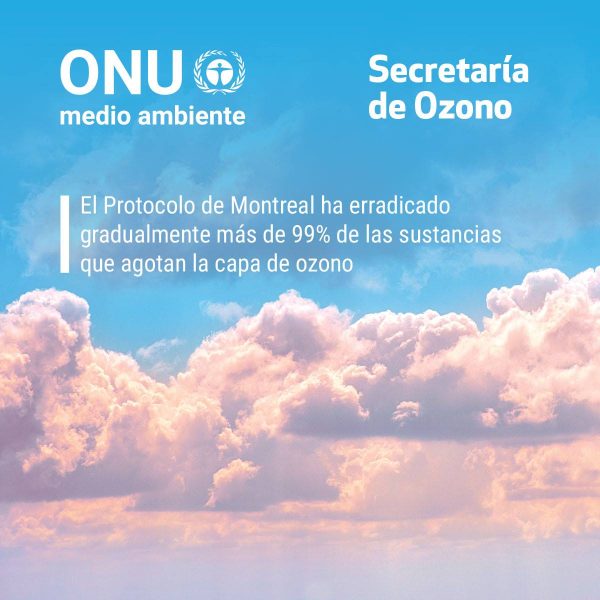 Del Protocolo de Montreal a la Patagonia: Cómo Río Negro Protege la Capa de Ozono con su Calendario Ambiental