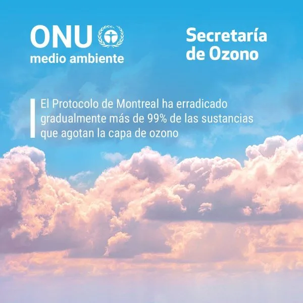 Del Protocolo de Montreal a la Patagonia: Cómo Río Negro Protege la Capa de Ozono con su Calendario Ambiental