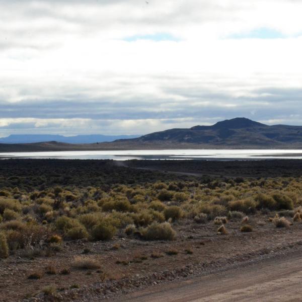 Áreas Naturales Protegidas de Río Negro: Un Legado que Celebrar y Defender en su Día Provincial