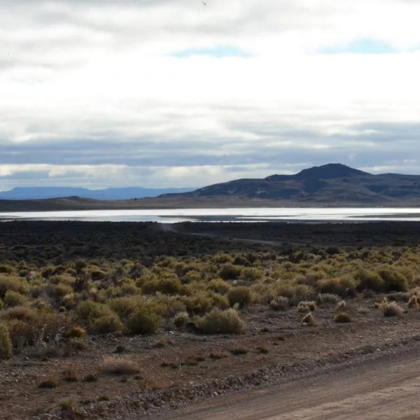 Áreas Naturales Protegidas de Río Negro: Un Legado que Celebrar y Defender en su Día Provincial