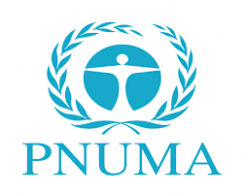 Programa de las Naciones Unidas para el Medio Ambiente (PNUMA): el organismo global que lidera la acción ambiental internacional