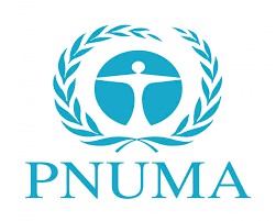 Programa de las Naciones Unidas para el Medio Ambiente (PNUMA): el organismo global que lidera la acción ambiental internacional