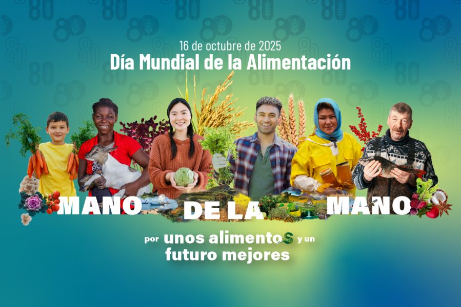 Mundo Alimentación: World Food Day con el protagonismo de la seguridad y soberanía alimentaria