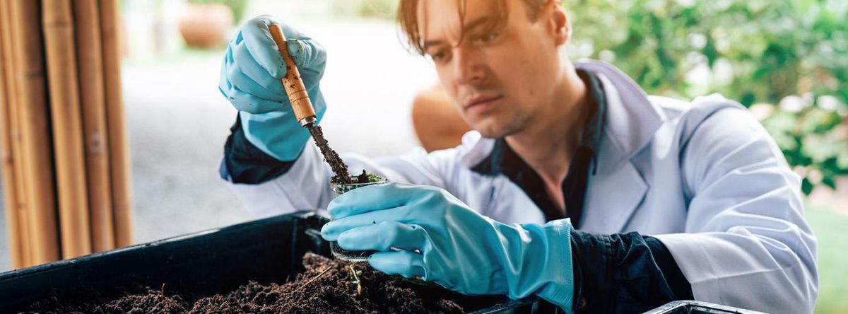 El Tesoro Bajo Nuestros Pies: Por Qué el Suelo es Vital para un Futuro Sostenible