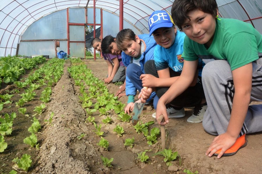 Chubut lanza el primer bachillerato en Energía y Sustentabilidad: una apuesta educativa que transformará el futuro ambiental y laboral de la Patagonia