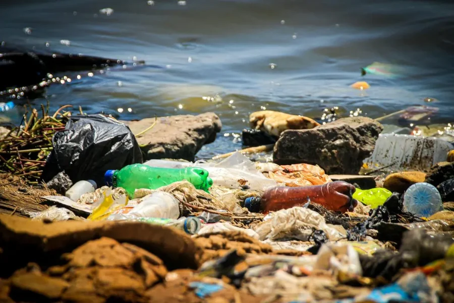 Contaminación Plástica