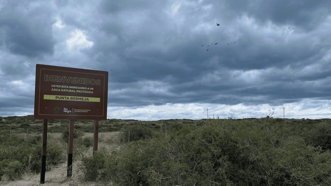 Río Negro refuerza la defensa de sus costas: nueva señalización para proteger lobos marinos, aves migratorias y zonas sensibles!