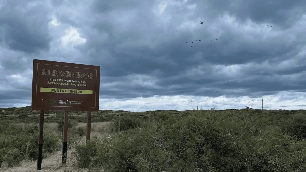 Río Negro refuerza la defensa de sus costas: nueva señalización para proteger lobos marinos, aves migratorias y zonas sensibles!