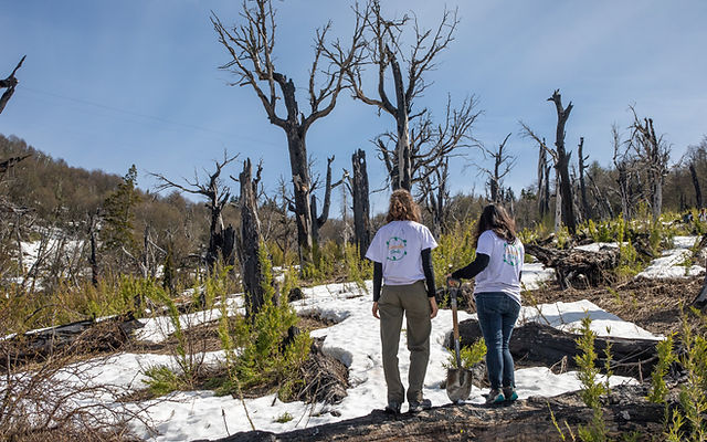 Circuito Verde Bariloche: la orgnización que está transformando la Patagonia desde la acción y la educación ambiental