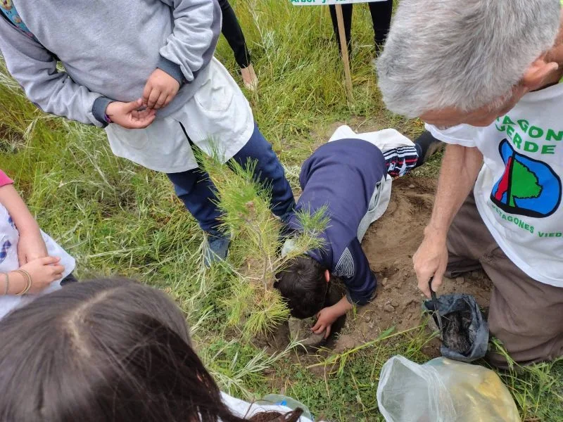 Fundación Amigos del Árbol y la Tierra: reconocida como “Vecino Ejemplar” por su legado ambiental en San Blas y el Partido de Patagones