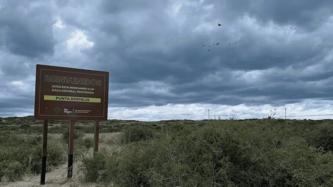 Río Negro refuerza la defensa de sus costas: nueva señalización para proteger lobos marinos, aves migratorias y zonas sensibles!