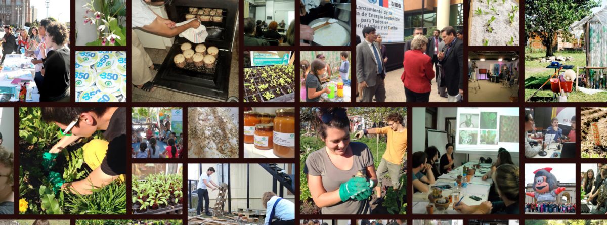 Fundación Biosfera: compromiso ambiental, acción ciudadana y ciencia aplicada por un planeta sostenible