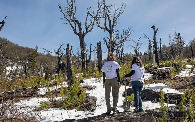 Circuito Verde Bariloche: la orgnización que está transformando la Patagonia desde la acción y la educación ambiental