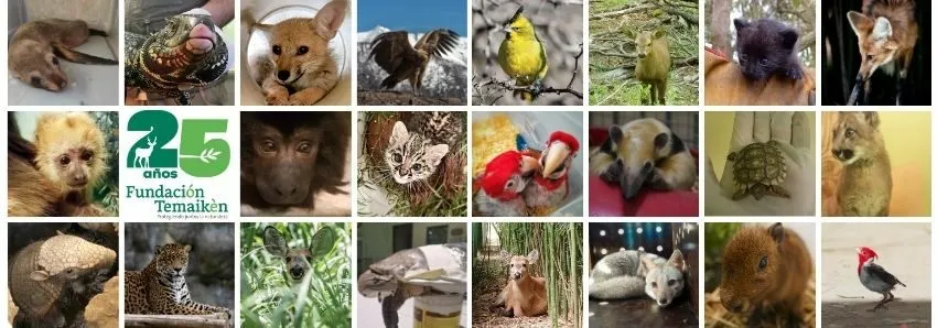 Temaiken en alerta Temaiken en alerta