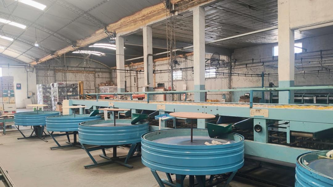 Revolución energética en el Alto Valle: cómo un nuevo diagnóstico impulsa la eficiencia y la sustentabilidad en una histórica frutícola de Río Negro