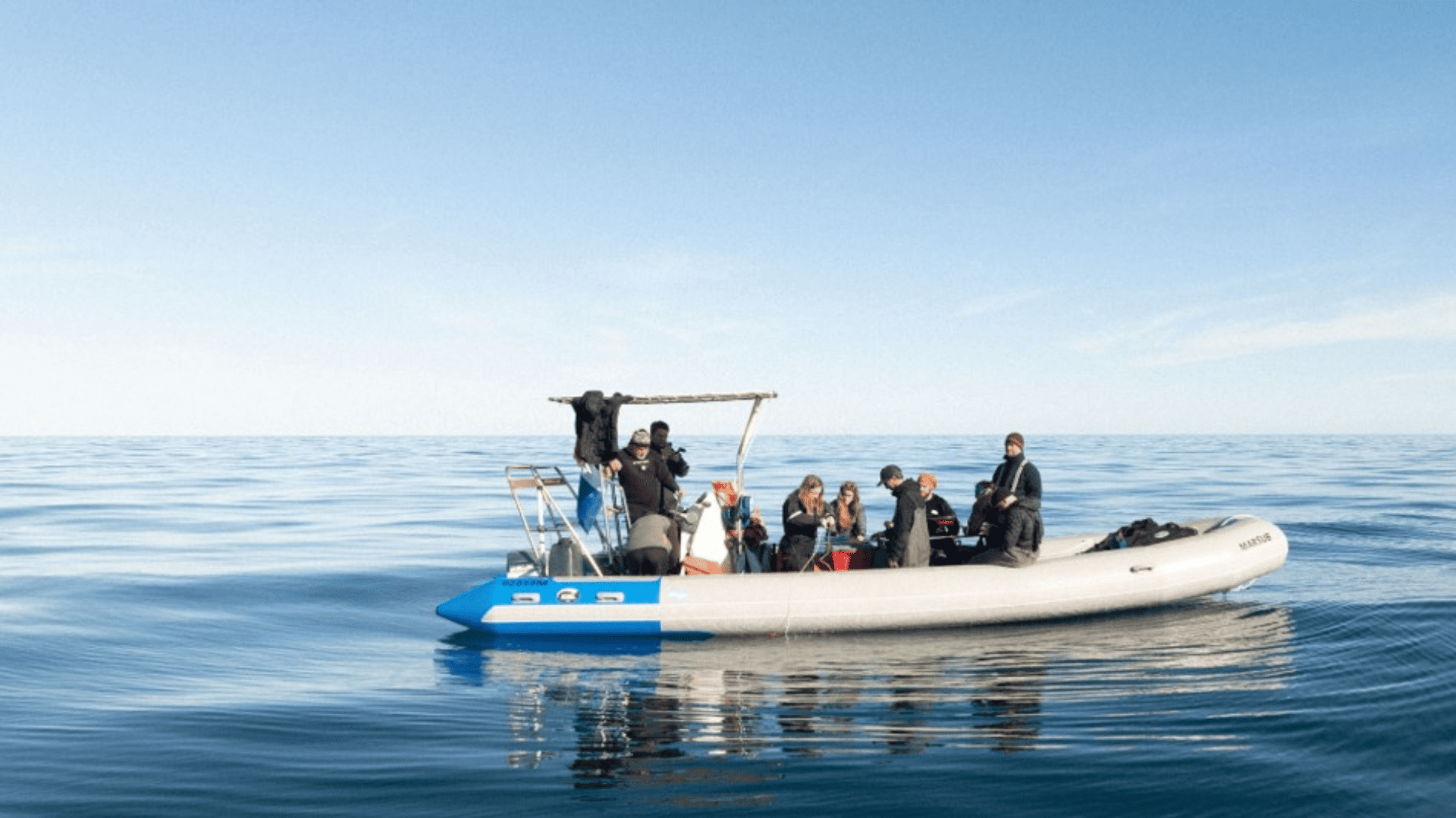 Río Negro Avanza en la Conservación Marina: El Corredor de los 5 Grandes Revoluciona la Protección del Golfo San Matías
