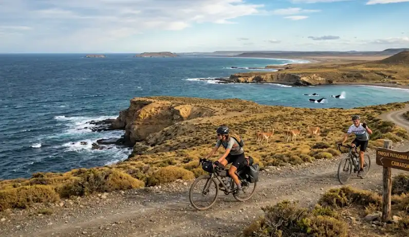 Camarones en bici: la aventura patagónica que revela la fauna salvaje y los paisajes secretos del Parque Patagonia Azul