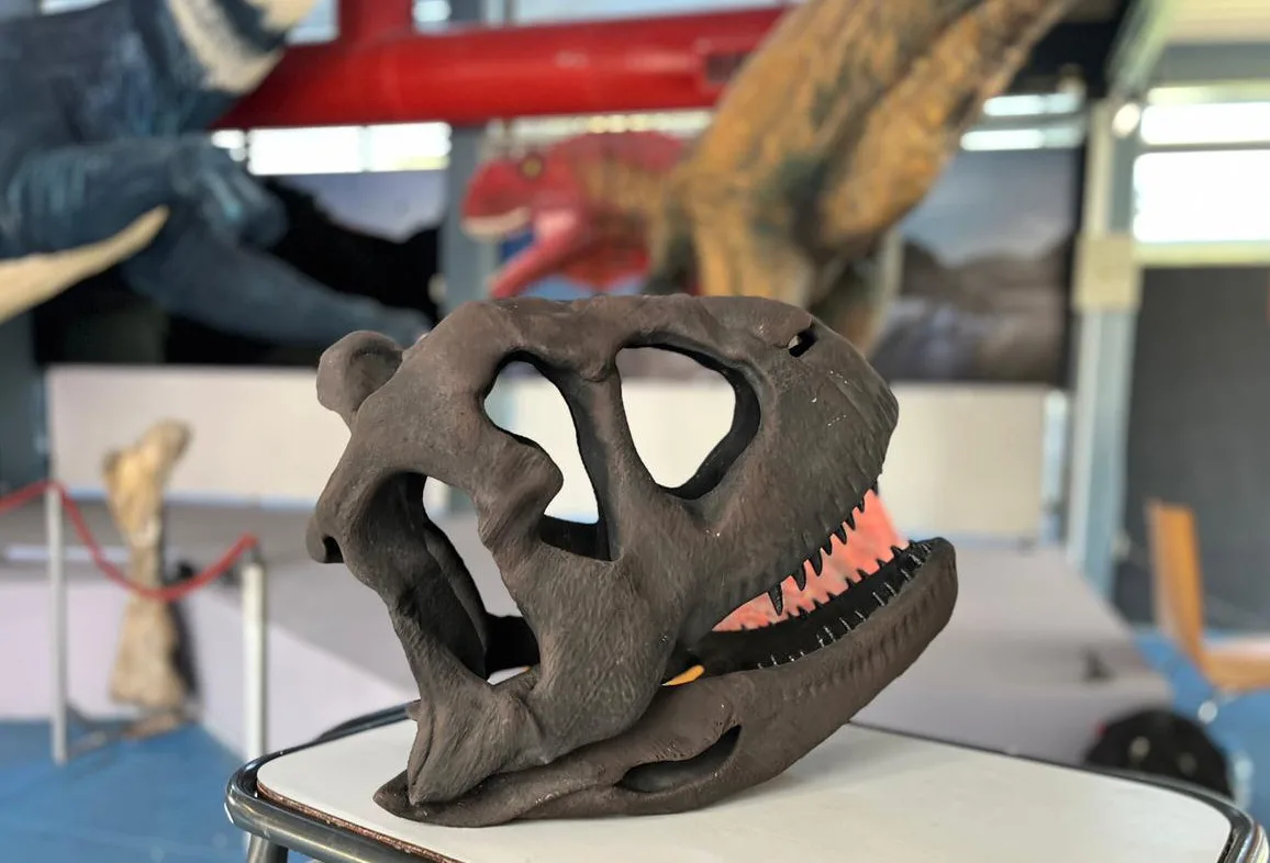 Río Negro apuesta al futuro: jóvenes agotan en 48 horas el Taller de Blender e impresión 3D en el Museo Patagónico