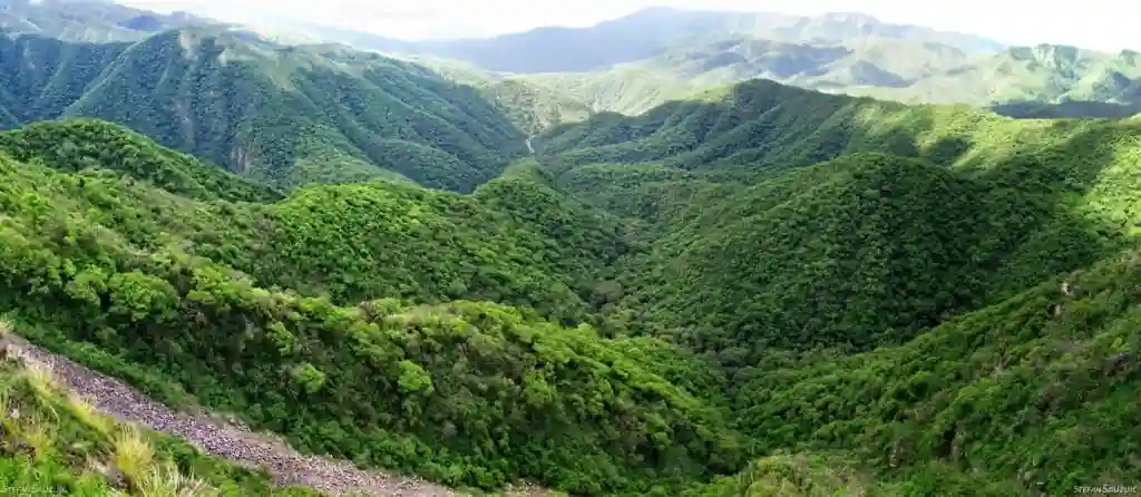 Argentina Verde: los 10 destinos más sustentables que están cambiando la forma de viajar