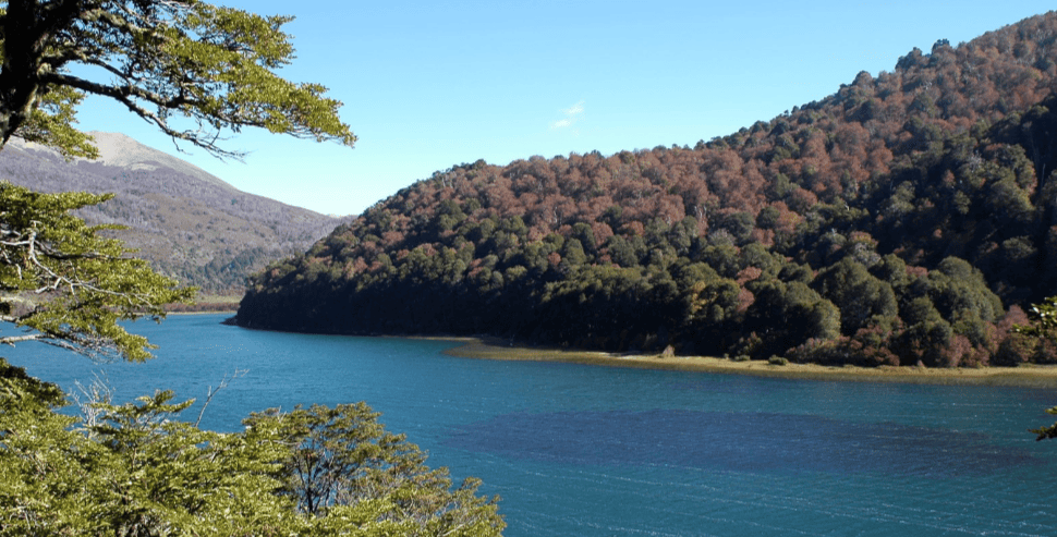 Cada 21 de marzo, el planeta conmemora el Día Internacional de los Bosques, una fecha impulsada por la ONU que busca Cada 21 de marzo, el planeta conmemora el Día Internacional de los Bosques, una fecha impulsada por la ONU que busca