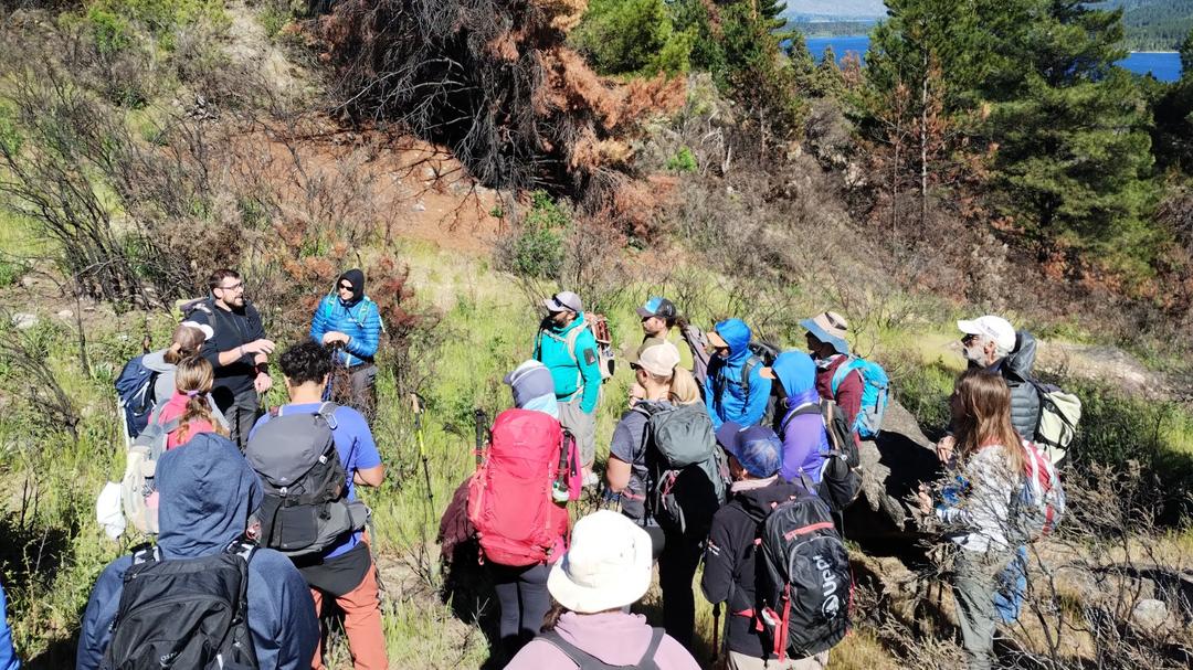 Río Negro Lanza Ambicioso Plan para Recuperar Sus Bosques Tras Incendios Devastadores