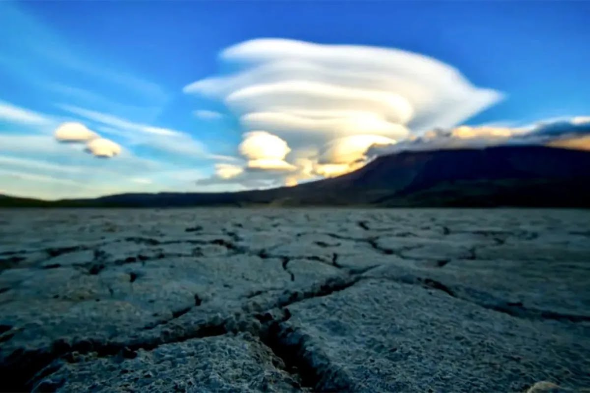 Neuquén impulsa la educación ambiental: el encuentro por el Día Mundial de los Humedales que marca un antes y un después