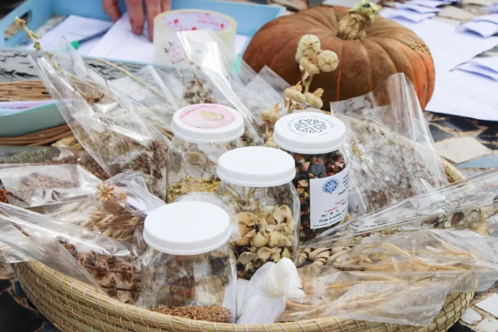 Convocan en Neuquen a un intercambio de semillas agroecológicas que impulsa huertas urbanas y soberanía alimentaria