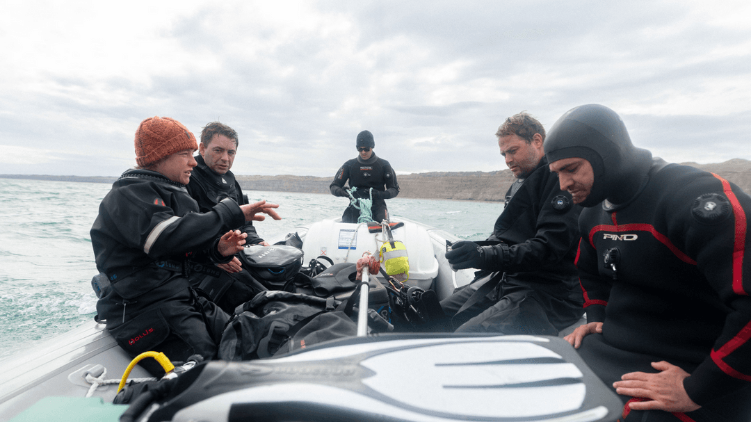 En los últimos años, la conservación marina se ha convertido en una prioridad global, pero lo que está ocurriendo en la Patagonia argentina podría marcar un antes y un después en la protección de especies clave del