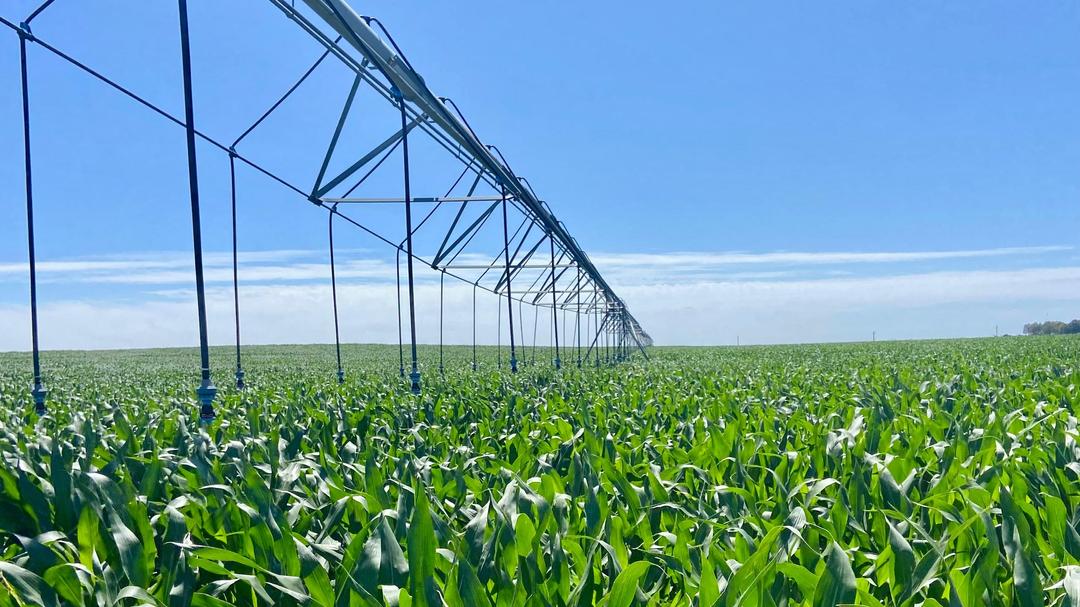 Eficiencia hídrica y energética: el eje de una jornada en Río Negro
