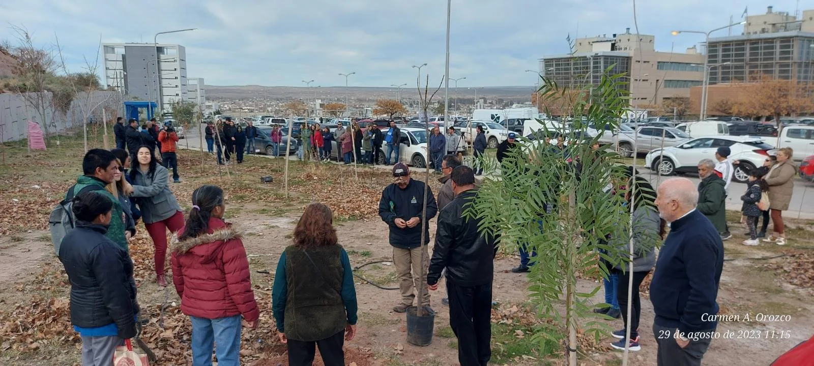 Neuquén celebra el Día Nacional del Árbol y lo incorpora a su calendario ambiental: por qué esta fecha puede cambiar el futuro verde de la ciudad