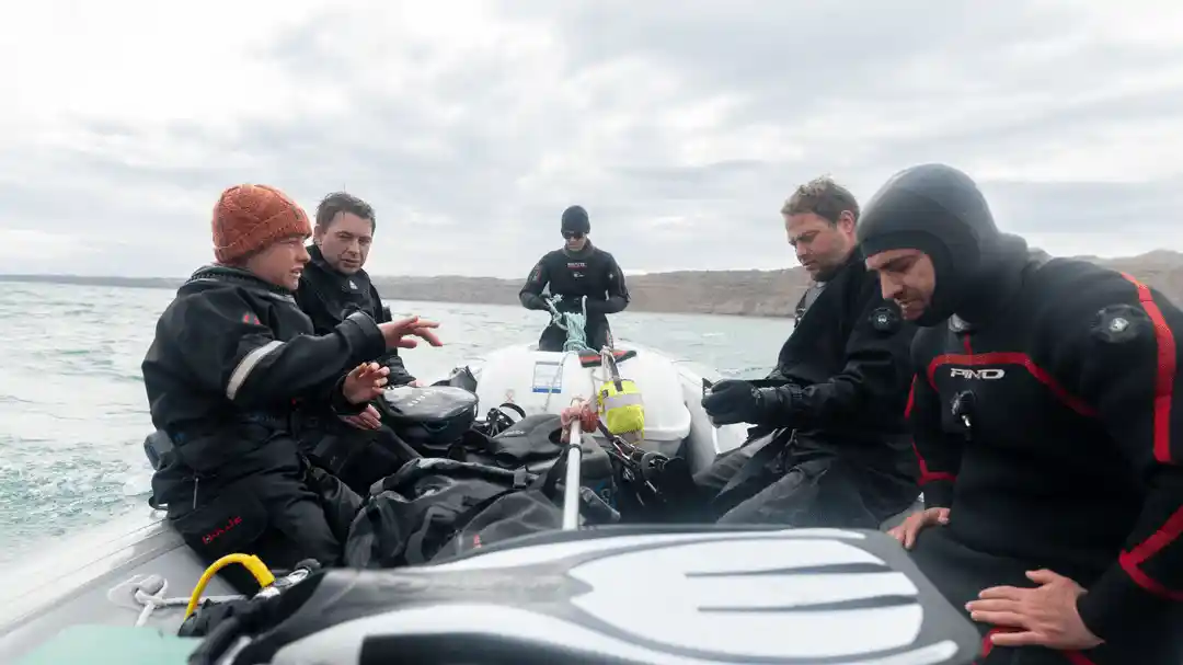 El sorprendente avance científico que podría salvar a los tiburones en el “Corredor de los 5 Grandes”