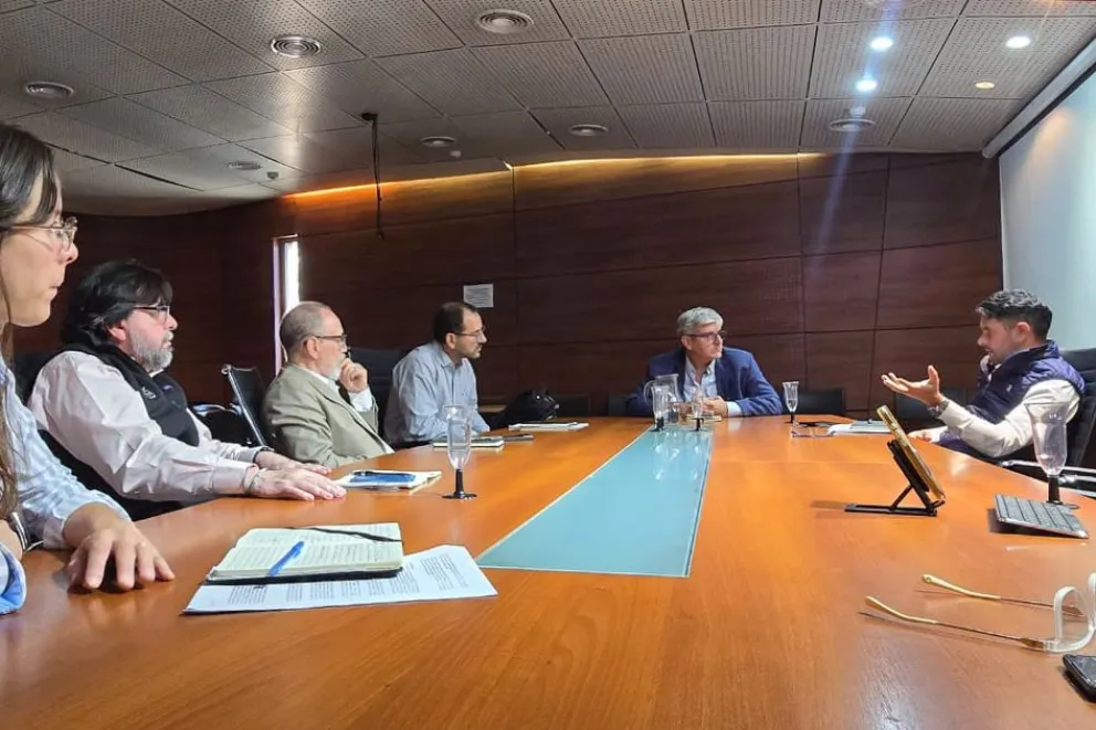 Neuquén acelera su revolución climática: millonarios proyectos verdes con financiamiento internacional que podrían cambiar el futuro de la Patagonia