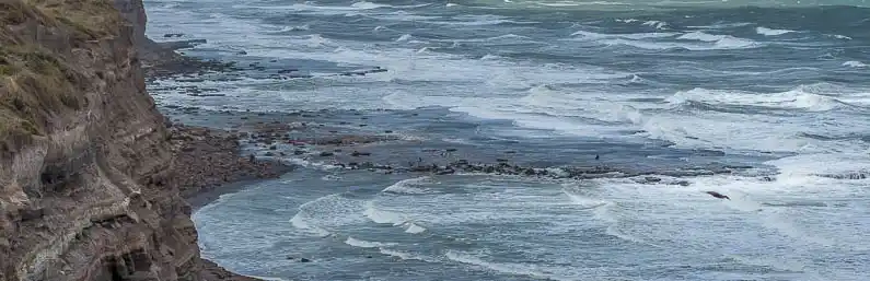Impactante hallazgo en Punta Bermeja! El “Corredor de los 5 Grandes” redefine la fotografía de fauna y la conservación en la Patagonia