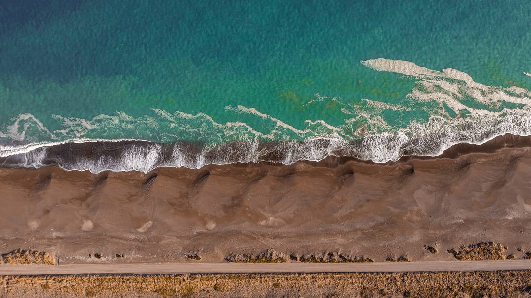 Día Mundial de los Océanos: el ambicioso plan de Río Negro para proteger el Mar Argentino y conservar especies únicas que sorprende a expertos