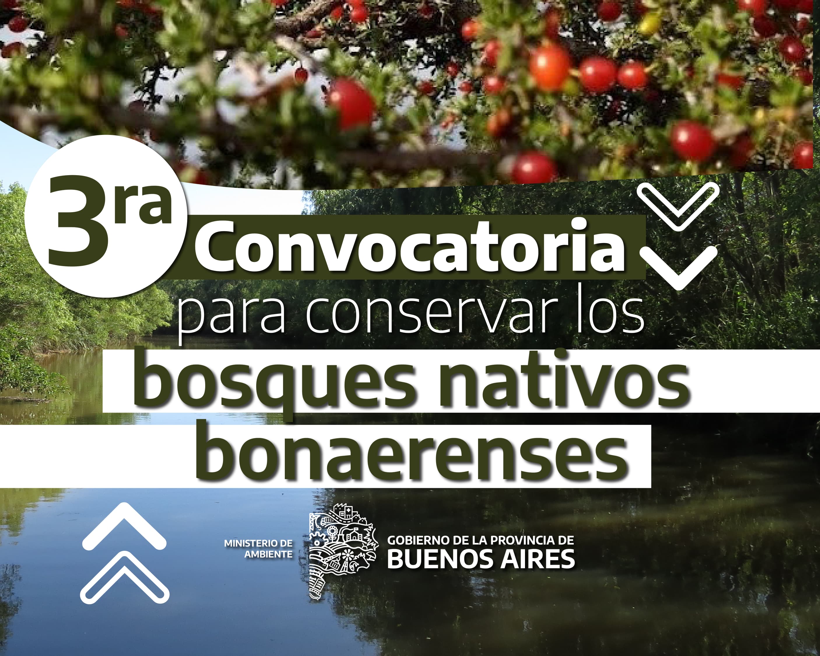 La Provincia de Buenos Aires abrió una convocatoria clave para acceder a financiamiento por bosques nativos: quiénes pueden inscribirse y qué requisitos deben cumplir