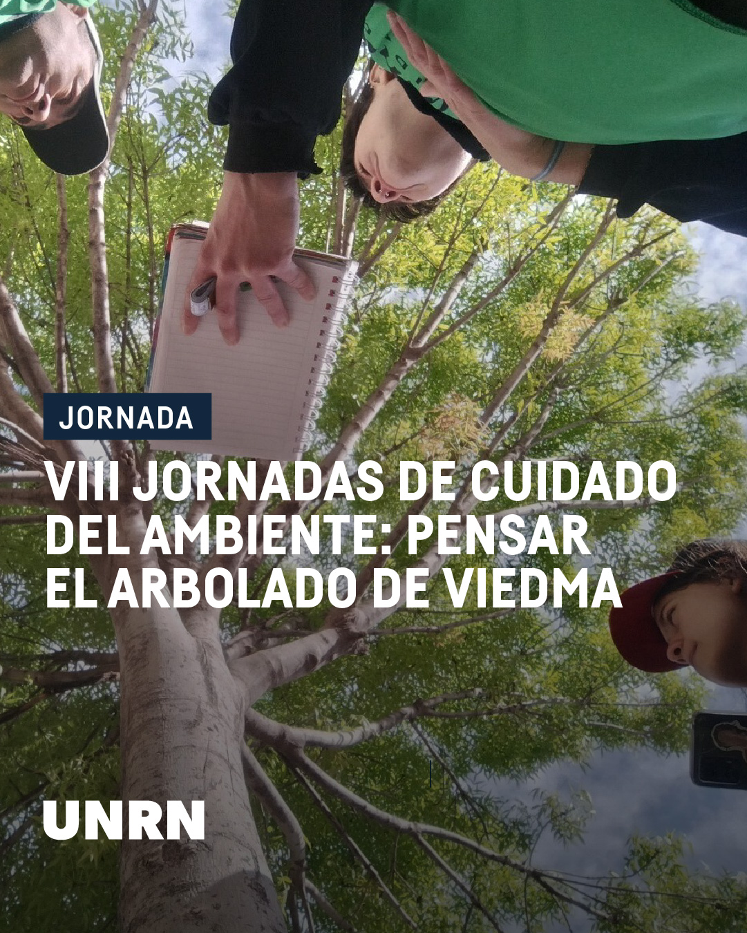 Árboles que salvan ciudades: Viedma se debate entre el colapso térmico y la urgencia de rediseñar su arbolado urbano