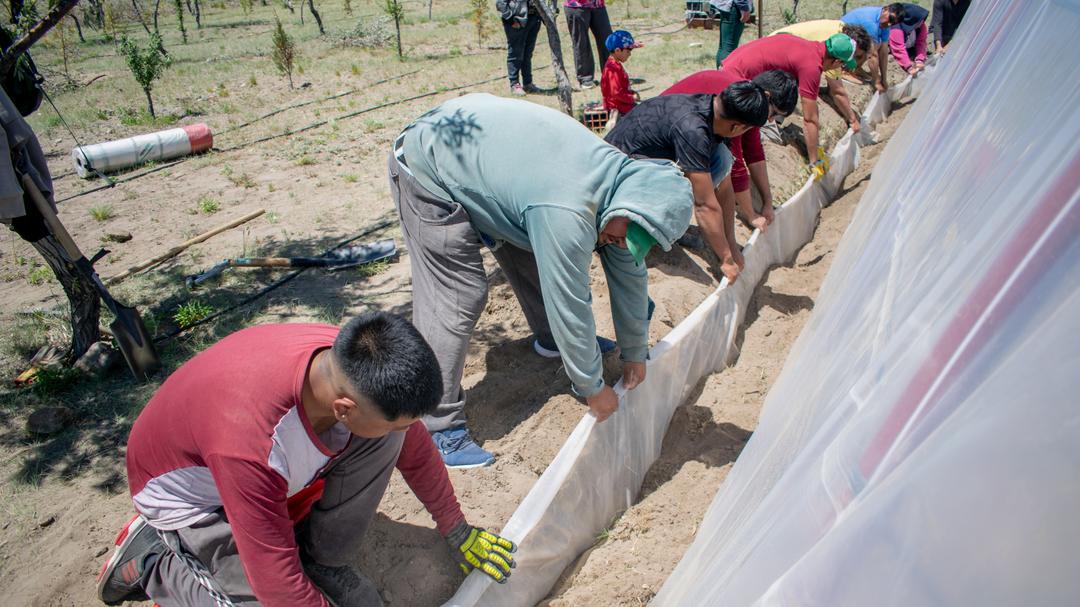 Expansión de la Red Provincial de Invernaderos en Río Negro: El impacto tecnológico y ambiental de los módulos escolares en Aguada de Guerra