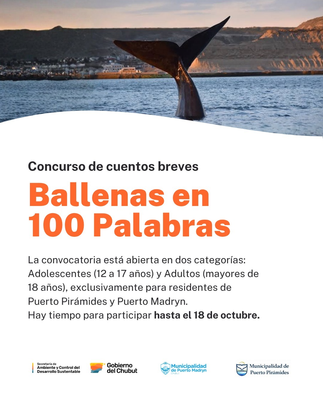 Concurso Ballenas en 100 Palabras en Chubut: Todo lo que debes saber y fecha límite de presentación