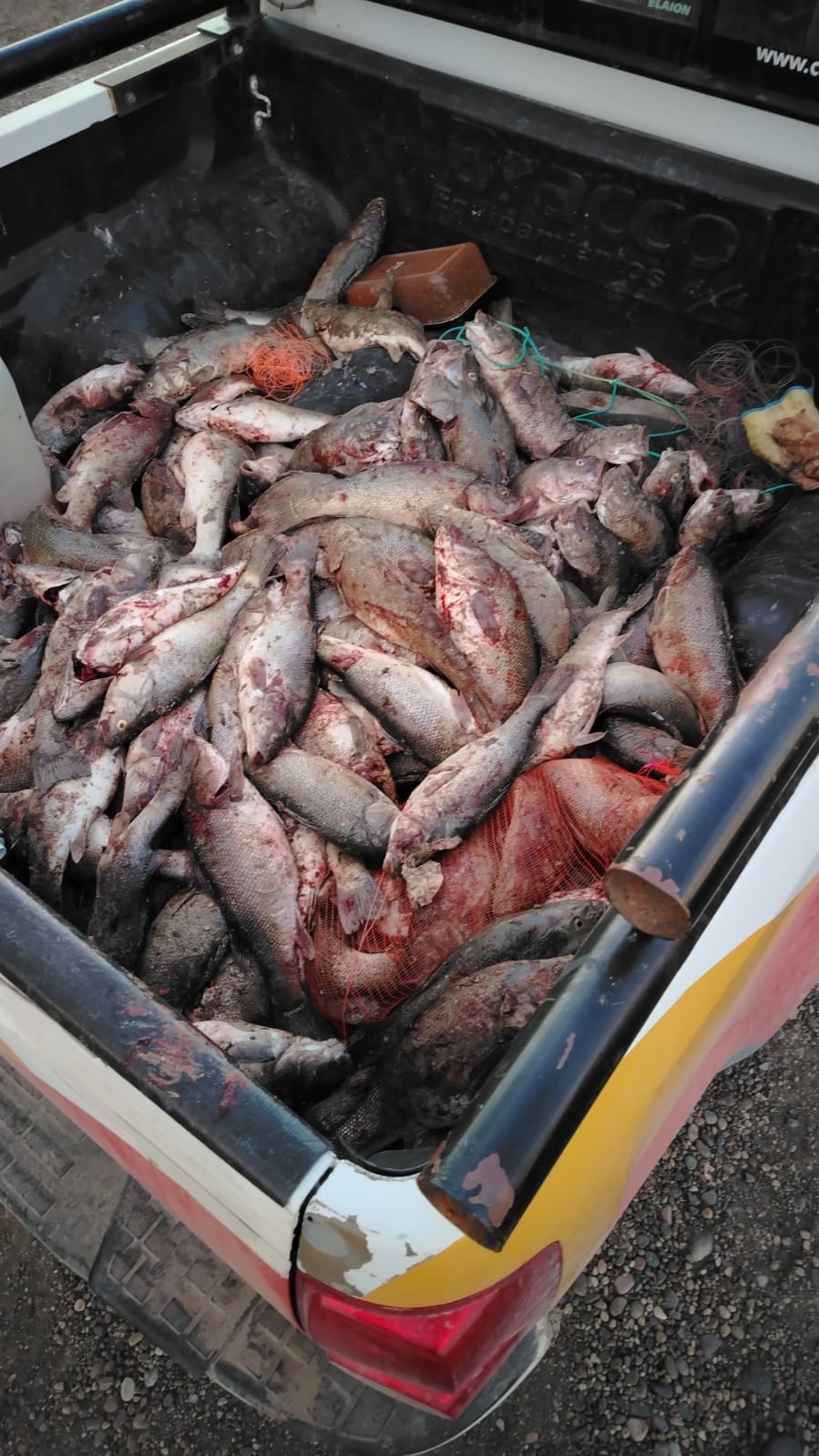 Controles de pesca en Chubut: El Gobierno refuerza la fiscalización en lagos y ríos para frenar la pesca furtiva y proteger los ecosistemas acuáticos patagónicos