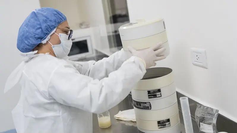 Innovación Ambiental, Energética y Tecnológica en la Patagonia: Se Extiende el Plazo de "Desafíos Rionegrinos" con Hasta $40 Millones para Proyectos